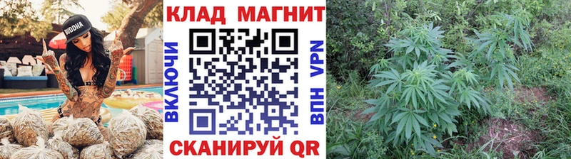 Купить Нурлат АМФ Мефедрон Бошки Шишки