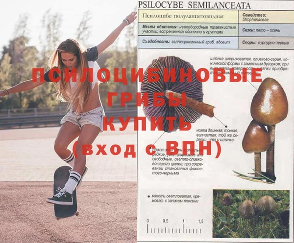 СК Балахна