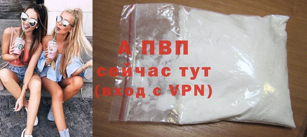 СК Балахна