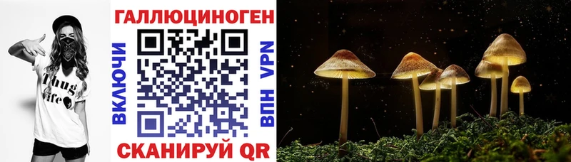 Псилоцибиновые грибы Magic Shrooms  наркота  blacksprut ссылка  Нурлат 